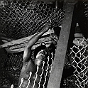 souvenirs en noir et blanc (553)